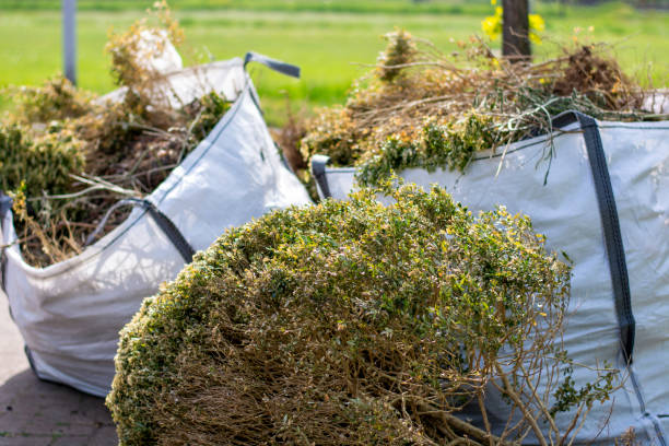 Best Electronics and E-Waste Disposal  in Creighton, NE